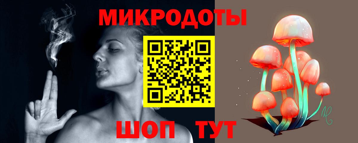 Балашов  Псилоцибиновые грибы Cubensis  Вход с VPN 